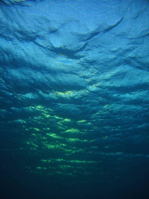 Pôr-do-sol visto debaixo d'água! (em Invisible, no sul de Bonaire)